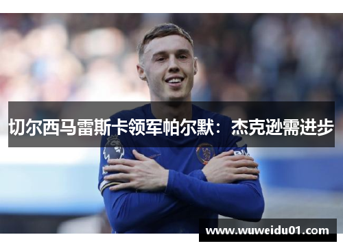 切尔西马雷斯卡领军帕尔默：杰克逊需进步